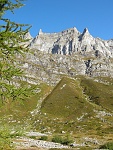 tdv09 031